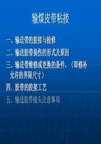 输煤皮带粘接共31页文档