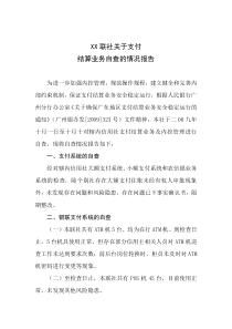 支付结算业务自查报告