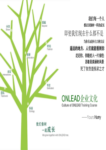 onlead企业文化