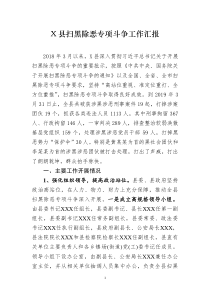 扫黑除恶专项斗争工作汇报