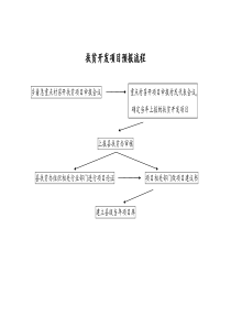 扶贫项目实施流程