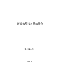 新老教师结对帮扶计划