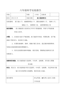 教科版六年级科学下册实验报告单(全)