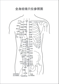 高清--全身穴位经络参照图