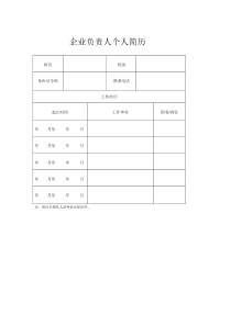 企业负责人个人简历