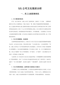 XX公司文化现状分析