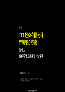 TCL股份有限公司管理组合整合咨询