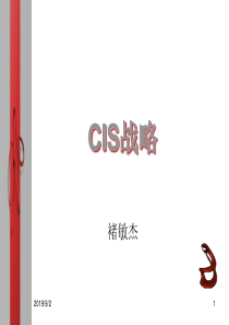 CIS战略