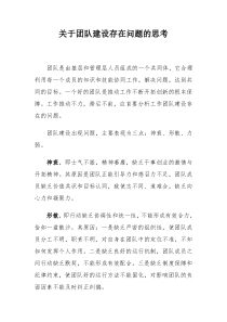 关于团队建设存在问题的思考