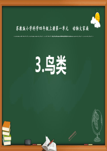 2020新苏教版四年级科学上册第一单元《鸟类》优秀课件