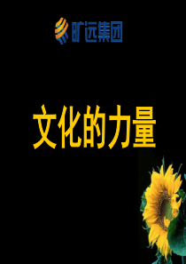 XX集团企业文化策划