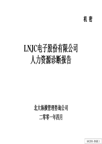 BDZH-LNJC电子股份有限公司人力资源诊断报告