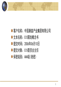 CIS策划概念书