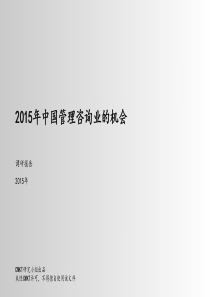 XXXX中国管理咨询业的机会调研报告-0529