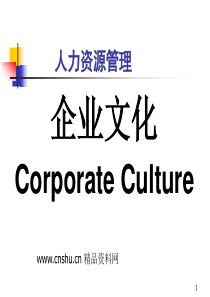 _企业人力资源管理--企业文化（PPT84页）