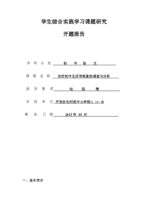 综合实践课题开题报告