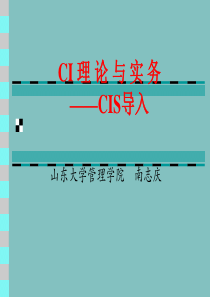 CI理论与实务CIS导入（推荐PPT193）