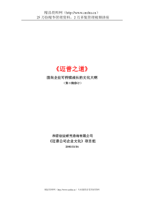 ××公司面向企业可持续成长的文化大纲（DOC36页）