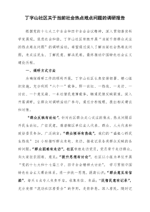 12.doc丁字山社区关于当前社会热点难点问题的调研报告