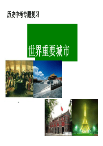 历史中考专题复习