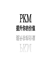 PKM_个人知识管理（PPT44页)