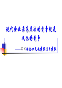 ××的企业文化建设项目建议（PPT 24页）