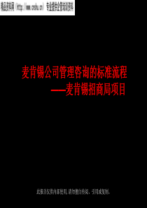 XX公司管理咨询的标准流程PPT