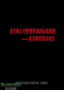 XX公司管理咨询的标准流程——XX招商局项目