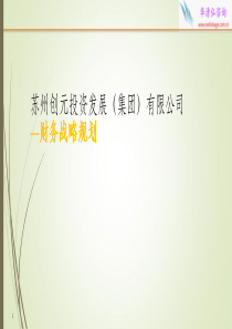 xx公司财务战略规划-华清弘咨询