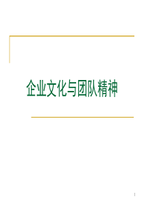 《企业文化与团队精神》