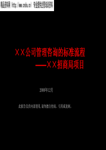 XX国外咨询公司的咨询流程(1)