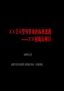 XX国外咨询公司的咨询流程(2)