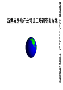 XX地产公司员工职业化咨询报告(1)