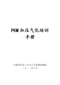 PKM加压气化培训手册