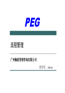 XX管理咨询公司流程管理(ppt92)