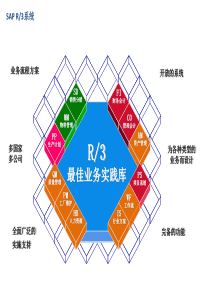 SAP入门基础培训教材PPT(共-50张)