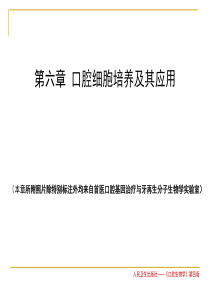 口腔细胞培养及其应用精讲