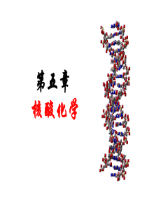 生物化学-核酸化学(5)