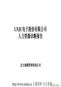 LNJC电子股份有限公司人力资源诊断报告--luowen888999