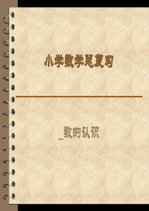 小学数学总复习