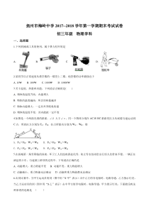 江苏省扬州市梅岭中学2018届九年级上学期期末考试物理试题(附答案)