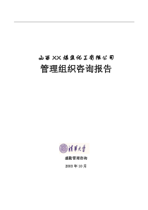 XX煤焦化工有限公司管理组织咨询报告(1)