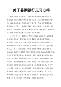 关于暑期银行见习心得