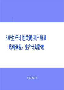 ERP-SAPPP-培训材料