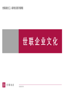 世联企业文化（PPT43页)