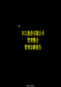 TCL股份有限公司管理整合管理诊断报告（PPT 146）