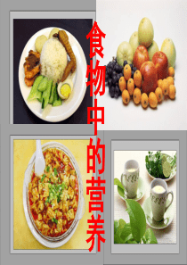 《食物中的营养》课件