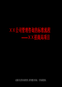 ××公司管理咨询的标准流程(3)