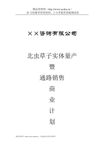 ××咨询公司商业计划书（DOC16页）