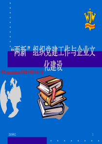 两新组织党建工作与企业文化建设（PPT 53页）